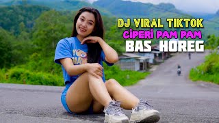Download lagu DJ VIRAL TIKTOK CIPERI PAM PAM PALING DI CARI || BAS HOREG mp3