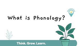 Master Phonology in 5 Minutes | A-Level English Language Revision