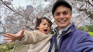 Cherry Blossoms on Tokyo’s River with Leo