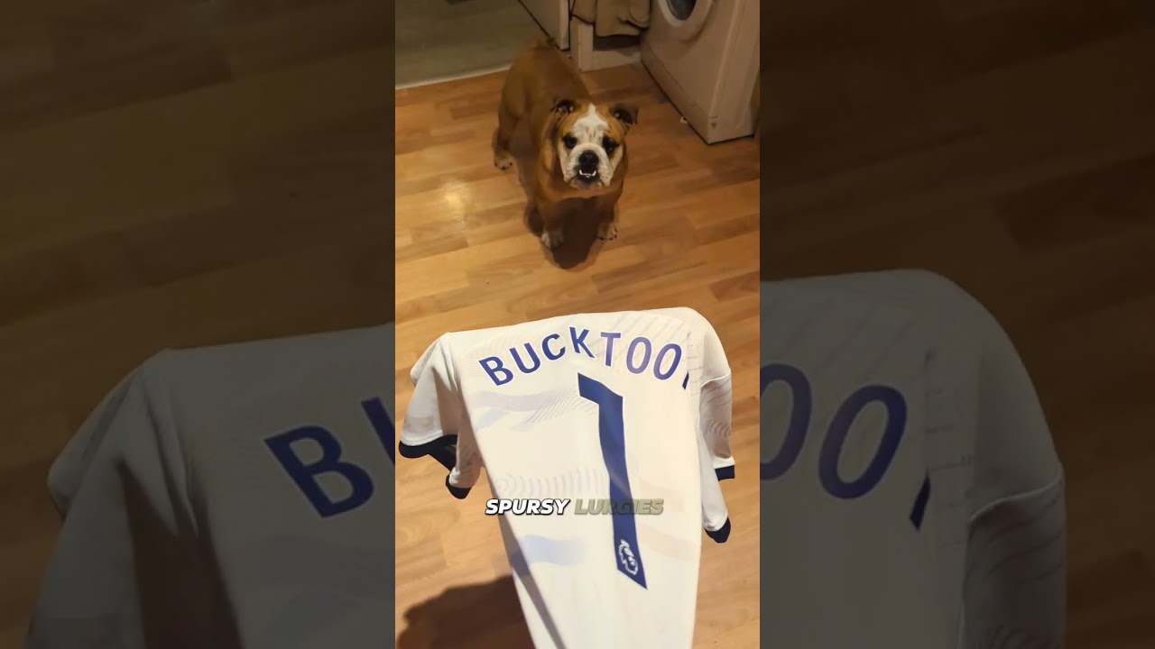 Diego's reaction to the new 'Spursy Lurgies' Monster 🤣🤣 