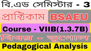 B.ed 3rd sem || Pedagogical analysis|| Geography #bsaeu #practicum #bedpracticum #pedagogical