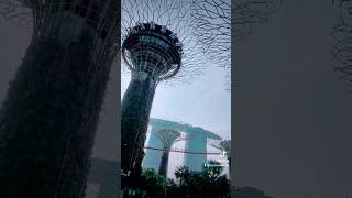 Singapore2023?? singapore jewelchangi marinabaysands merlionpark skypark uss universalstudios