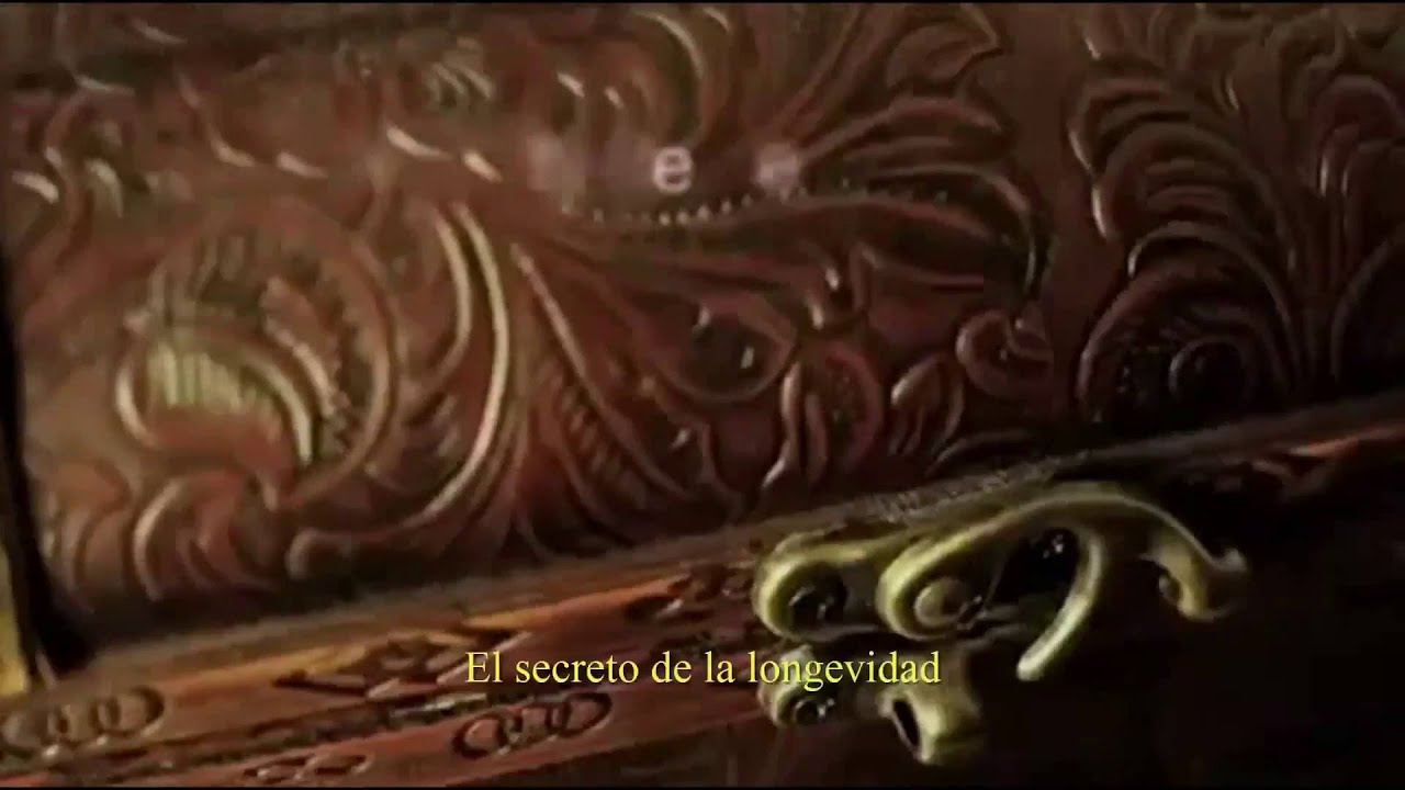 Anuncio de Yves Saint Laurent   Ganoderma  Nelogold Nelo Marin