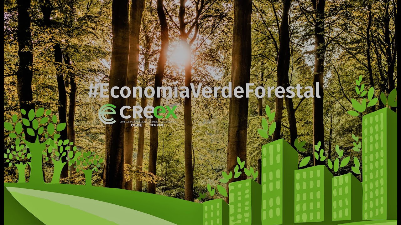 #WEBINAR El Sector Forestal como elemento clave en la Economía Verde y Circular