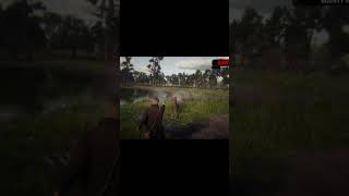 Collateral Damage #rdr2 #trickshot #gameplay