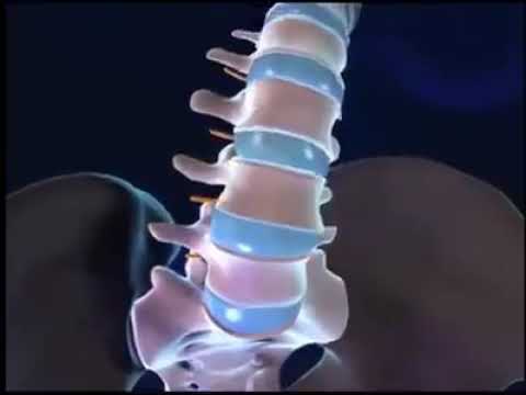 Vídeo muy muy interesante sobre el funcionamiento de la columna vertebral.