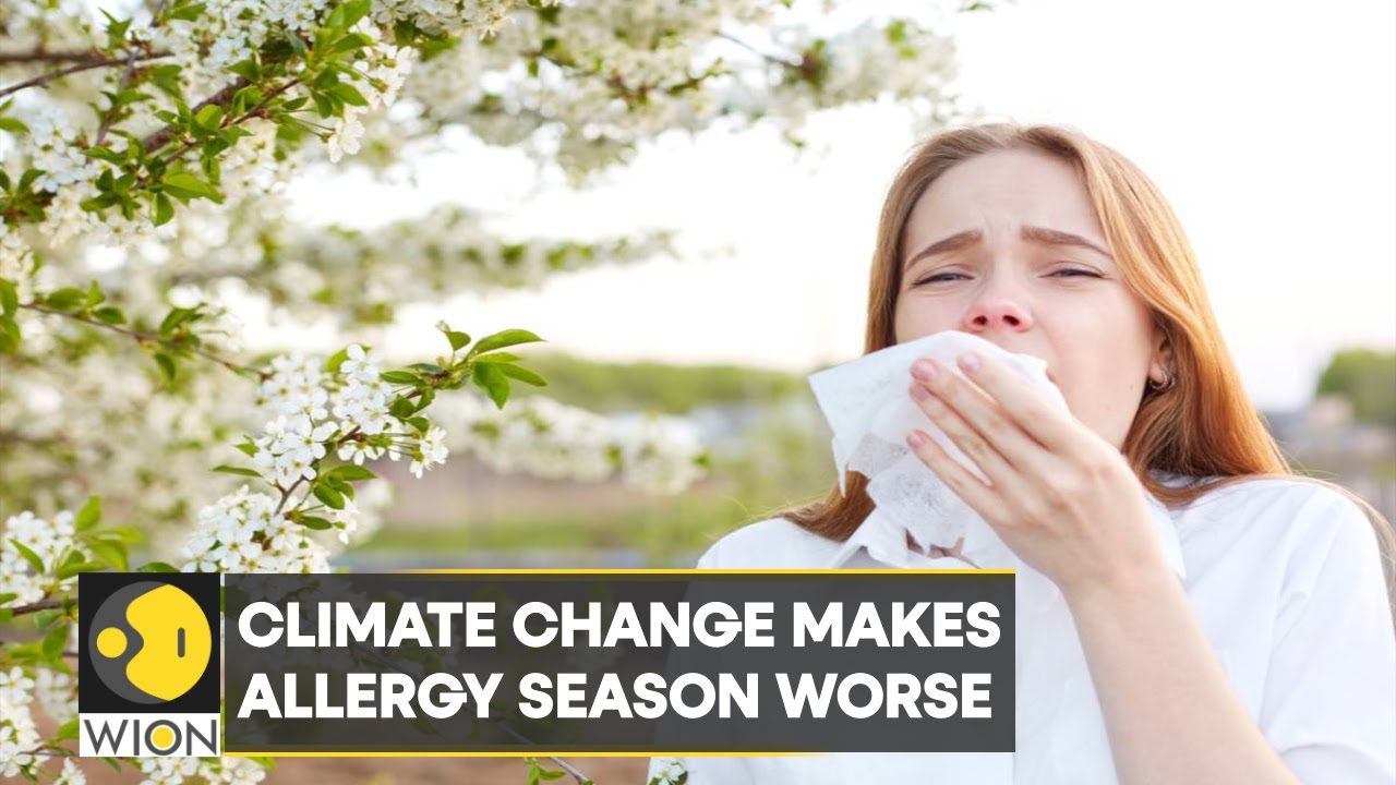 WION Climate Tracker: Climate change makes allergy season worse, pollen allergies to grow in future