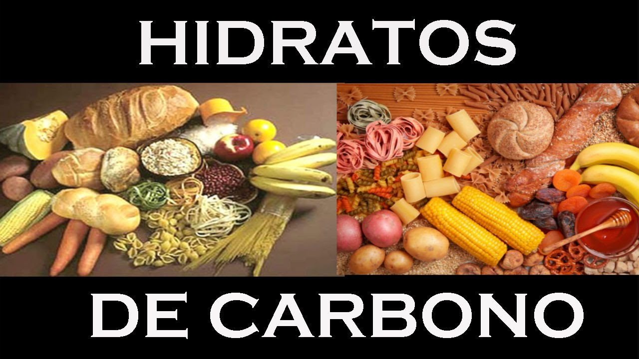 Carbohidratos o hidratos de carbono