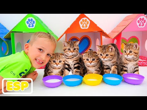 Video: Gatos y niños