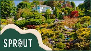 Essential Steps for a Sustainable Garden | Growing A Greener World |Sprout