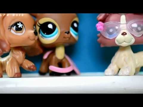 LPS: Teen Idle(Music Video)