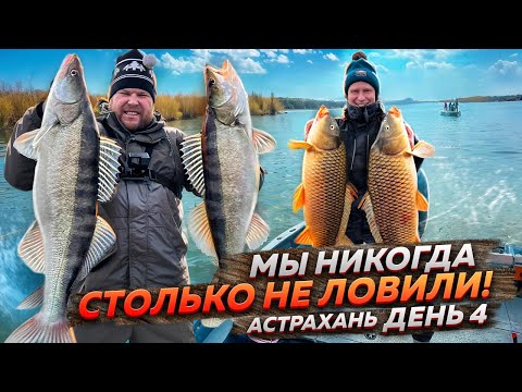 МЫ НИКОГДА СТОЛЬКО НЕ ЛОВИЛИ! Рыбалка в Астрахани 2024