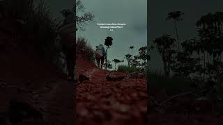 DISINI DIBATAS KOTA INI