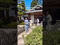 桜と着物。着付け教室＊花楽撮影会 #着物 #山内豊翠 #着付教室花楽