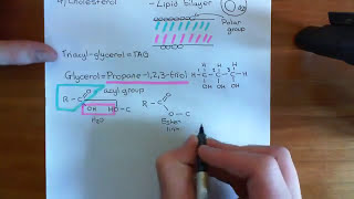 Introduction to Lipids Part 1