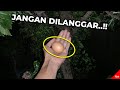 TERSERAH KALAU NGGAK PERCAYA..!! Mitos Kuno ini Konon Tak Boleh Dilanggar, Kenapa??!! #YtCrash