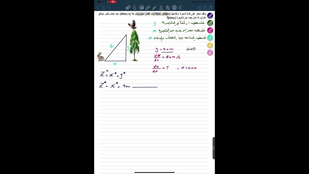 المعدلات الزمنية #12