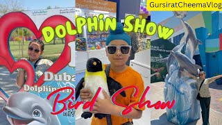 Dolphin Show🐬| Full Entertainment In Dubai | @gursiratcheema