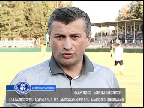 მინისტრმა ბოლნისის მუნიციპალიტეტში არსებული სპორტული ობიექტები დაათვალიერა