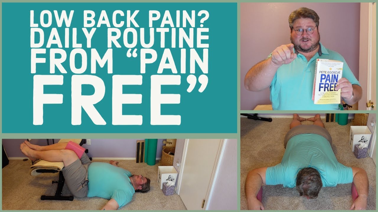 Low Back & Herniated Disc Pain Menu from Egoscue’s"Pain Free" Book