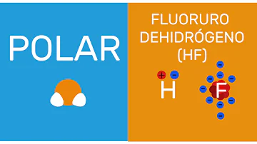 ¿Cuál es la diferencia entre una sustancia polar y no polar?