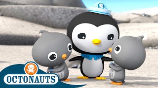 Octonauts  Adelie Penguins & the Sea Snakes | Cartoons for Kids | Underwater Sea Education