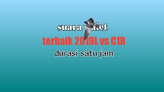 suara burung walet terbaik 2019L vs C1R||| stereo durasi satu jam