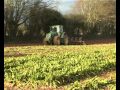 John Deere 7920 ploughing MF 6480 Llifting beet.wmv