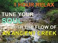 Fall asleep fast with the flow of an ancient creek. 1 hour relaxing flow with black screen.