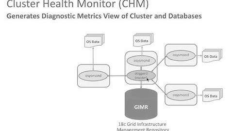 The Oracle Cluster Health Monitor