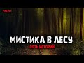Мистика в лесу (5в1) Выпуск №6.