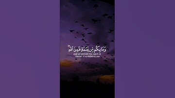 وما بكم من نعمة فمن الله ثم إذا مسكم||تلاوة تريح القلوب♥️#عبدالرحمن_مسعد #سورة_النحل #حالات_واتساب🌿
