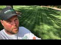 Secret Zoysiagrass Fertilizer
