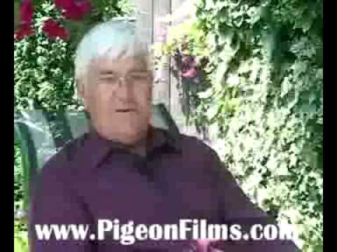 ª» Free Watch Pigeon Racing:  Secrets of Champions II