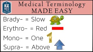 Medical and Nursing Terminology MADE EASY: Prefixes [Flashcard Tables] by EZmed 547,305 views 2 years ago 16 minutes