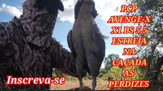 CAÇADA AS PERDIZES COM PCP AVENGE-X X1 BS 5.5