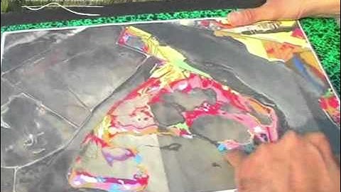 La cartographie écologique