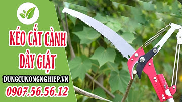 Tháo lấp sử dụng Kéo cắt cành trên cao 5m HM150 | Dungcunongnghiep.vn