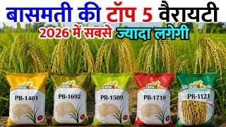 बासमती धान की टॉप 5 वैरायटी | सबसे कम समय में तैयार | HT Basmati| Basmati dhan ki top 5 variety 2026