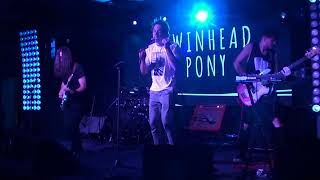 Twinhead Pony - Джин-базилик