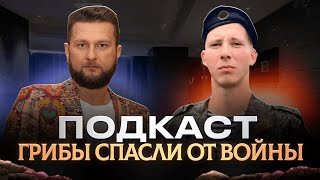 Грибы Спасли От Войны. Трейлер Подкаста. Дмитрий Соболев и Павел Дмитриев