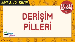 Derişim Pilleri #13te13Kampı #AYTkimya