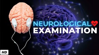 Neurological examination: Everything You Need To Know