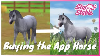 Buying the Welsh Pony From the App! | Star Stable Online screenshot 3