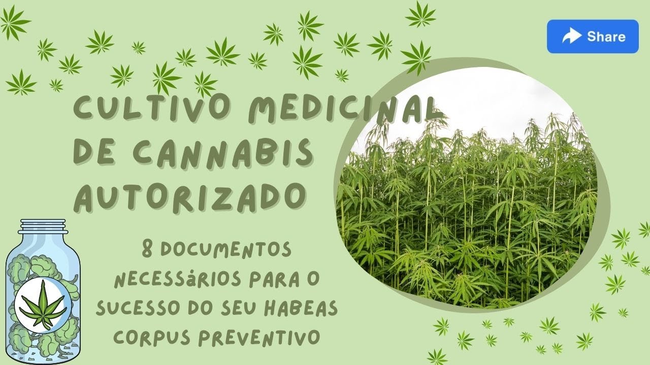 Tudo sobre o cultivo medicinal da cannabis