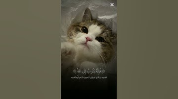 احترم القران الكريم لمدة 44 ثانية 💗شاركها لك الاجر في يوم القيامة 💗🕋