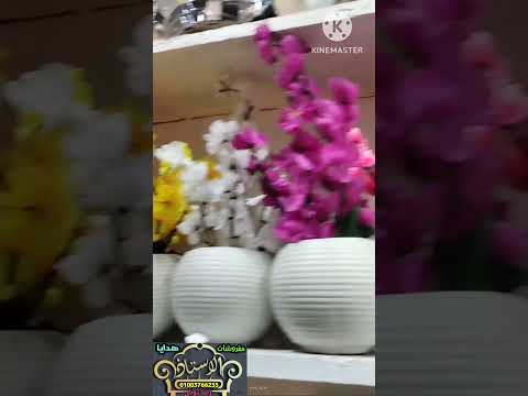 بوت الورد المشمش