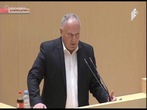 პაატა კვიჟინაძის გამოსვლა პარლამენტის პლენარულ სხდომაზე