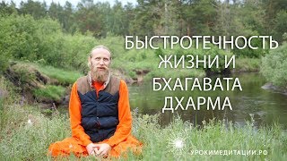 Быстротечность жизни и Бхагавата Дхарма