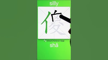 How to Write 傻(silly) in Chinese? App Name :《ViewChinese》&《My HSK》